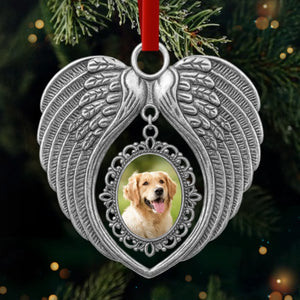 OMW-NC0502_thumb-1