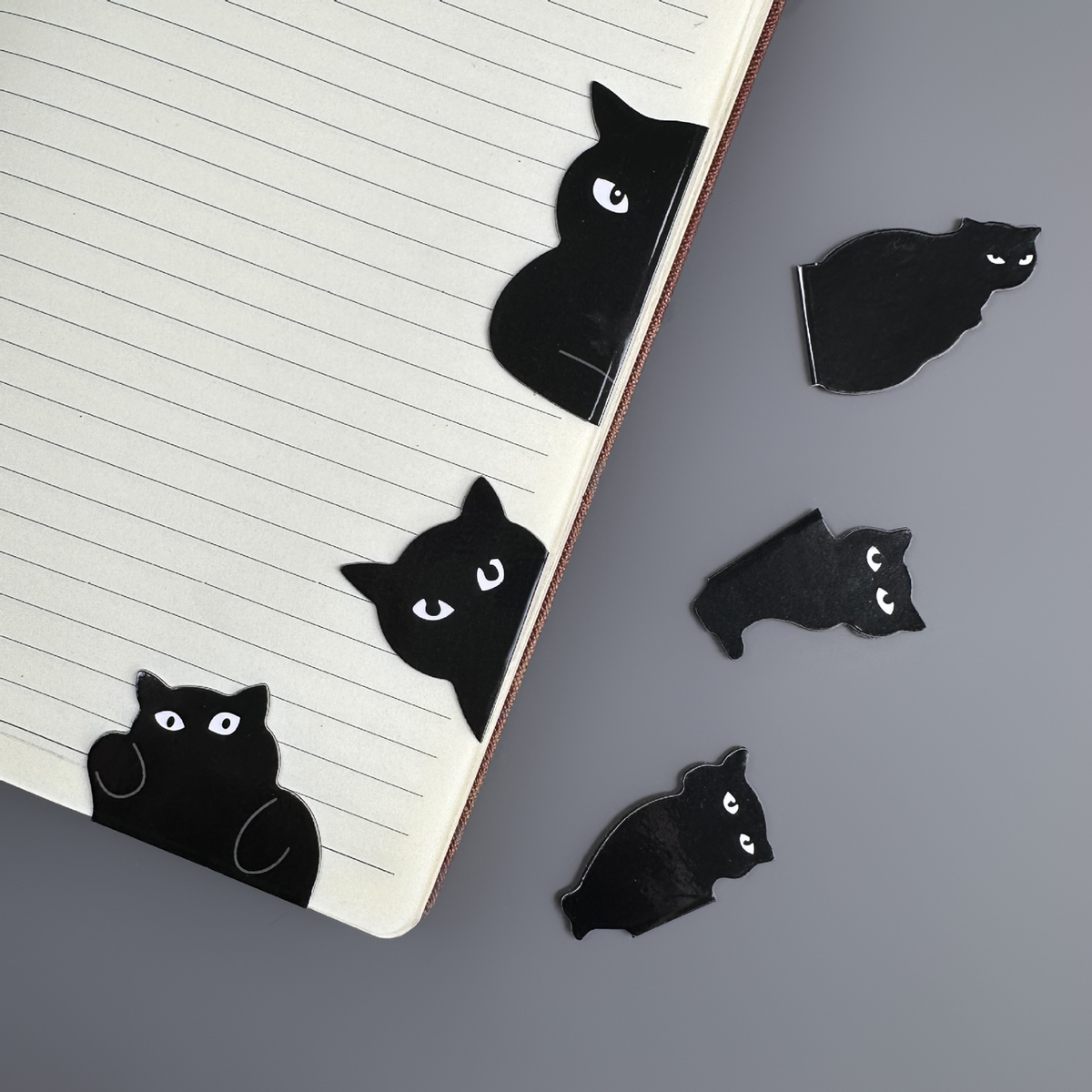 6 signets chat noir