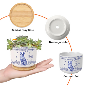 CPP-HA0501_thumb-4