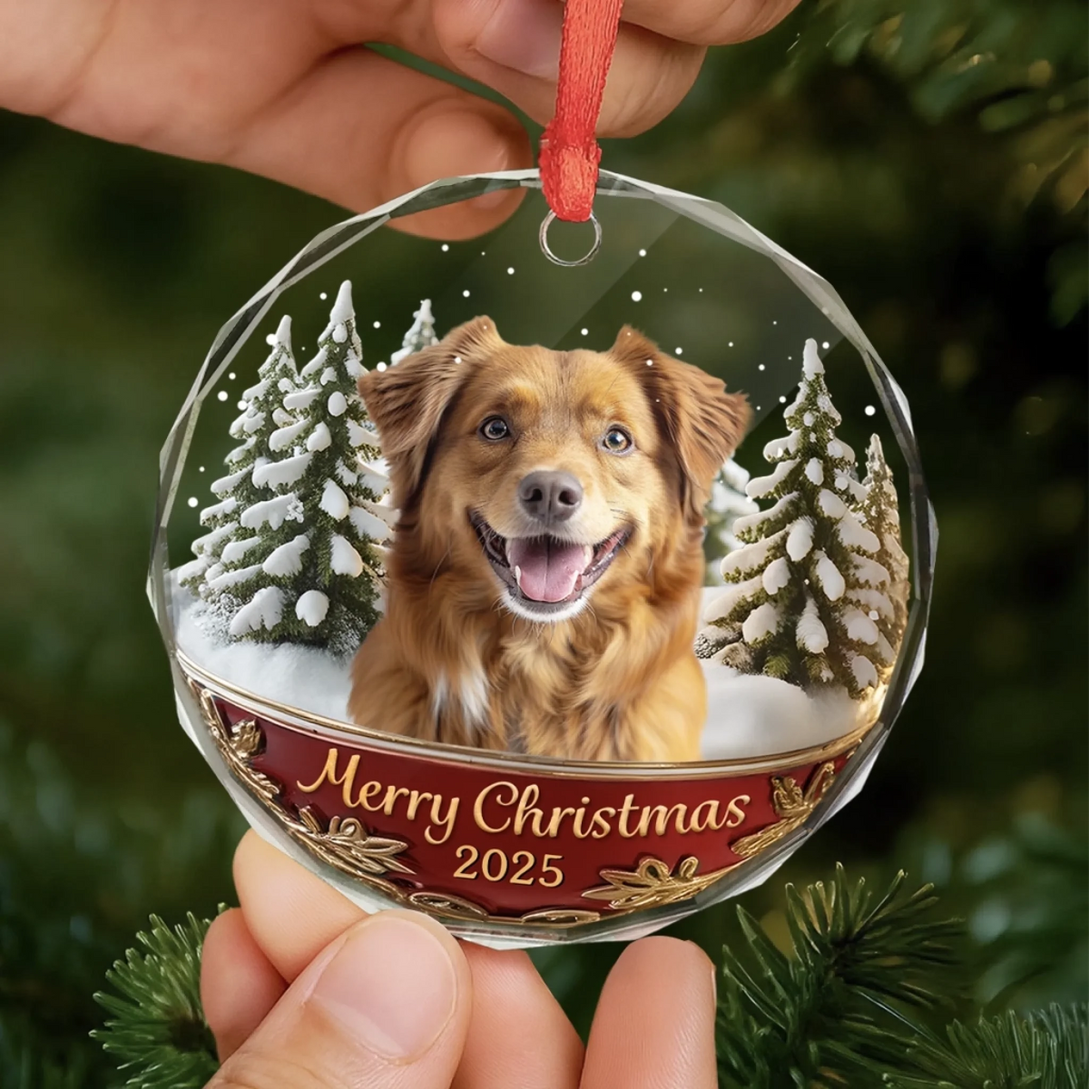 GOP-HA0648_thumb-5