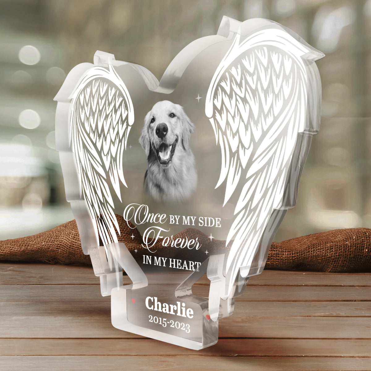 Photo personnalisée « Si l'amour avait pu te sauver, tu aurais vécu éternellement » - Plaque commémorative personnalisée en acrylique - Cadeau de Noël, cadeau de condoléances pour les propriétaires d'animaux et les amoureux des animaux