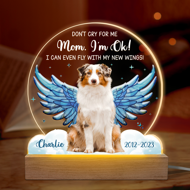 Photo personnalisée « Je peux même voler avec mes nouvelles ailes » - Lampe LED 3D personnalisée en forme de mémorial - Cadeau de condoléances pour les propriétaires et les amoureux des animaux