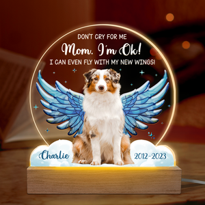 Photo personnalisée « Je peux même voler avec mes nouvelles ailes » - Lampe LED 3D personnalisée en forme de mémorial - Cadeau de condoléances pour les propriétaires et les amoureux des animaux
