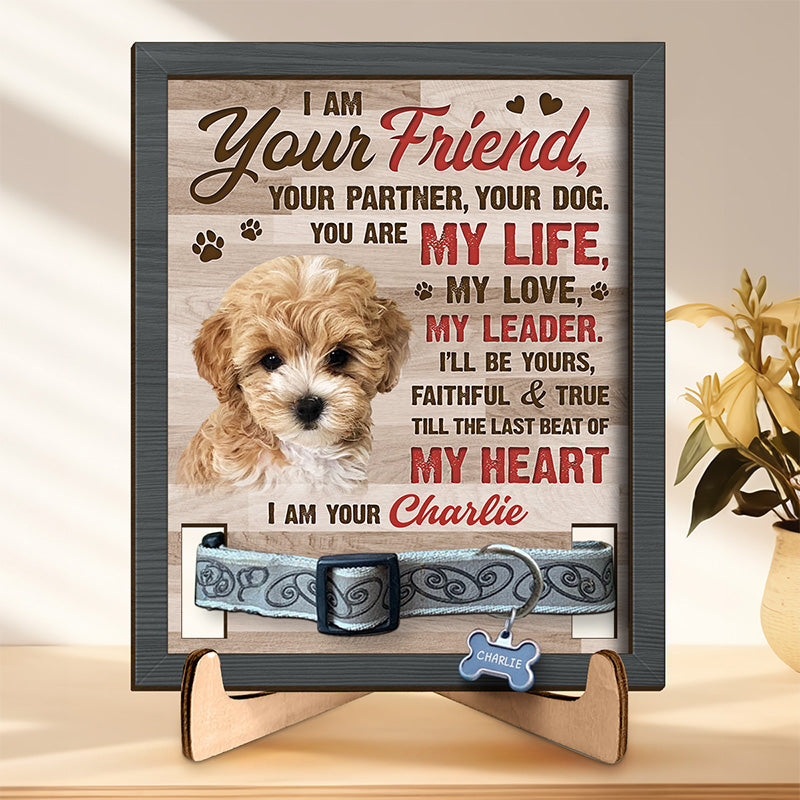 Photo personnalisée « L'amitié survit à la mort » - Plaque commémorative personnalisée pour la perte d'un animal de compagnie, cadre avec support - Cadeau de condoléances, cadeau pour les propriétaires d'animaux et les amoureux des animaux