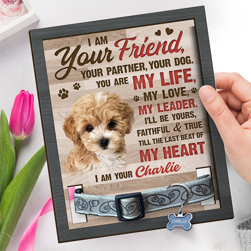 Photo personnalisée « L'amitié survit à la mort » - Plaque commémorative personnalisée pour la perte d'un animal de compagnie, cadre avec support - Cadeau de condoléances, cadeau pour les propriétaires d'animaux et les amoureux des animaux