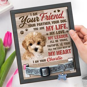 Photo personnalisée « L'amitié survit à la mort » - Plaque commémorative personnalisée pour la perte d'un animal de compagnie, cadre avec support - Cadeau de condoléances, cadeau pour les propriétaires d'animaux et les amoureux des animaux