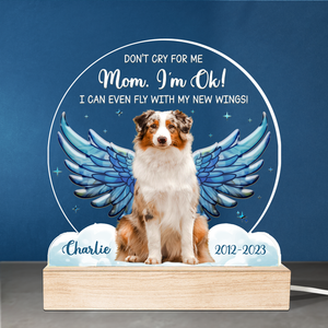 Photo personnalisée « Je peux même voler avec mes nouvelles ailes » - Lampe LED 3D personnalisée en forme de mémorial - Cadeau de condoléances pour les propriétaires et les amoureux des animaux