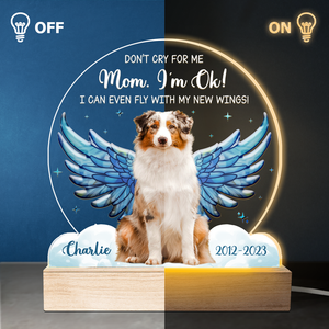 Photo personnalisée « Je peux même voler avec mes nouvelles ailes » - Lampe LED 3D personnalisée en forme de mémorial - Cadeau de condoléances pour les propriétaires et les amoureux des animaux