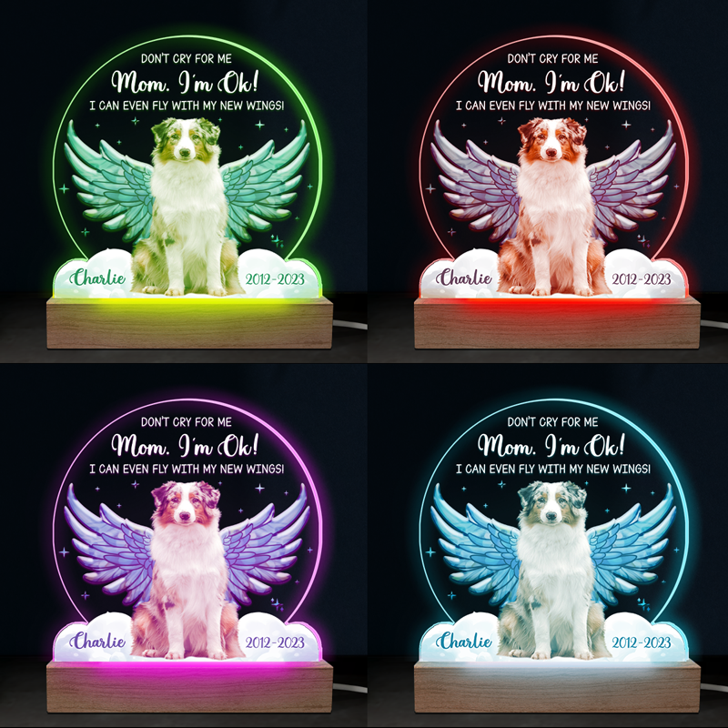 Photo personnalisée « Je peux même voler avec mes nouvelles ailes » - Lampe LED 3D personnalisée en forme de mémorial - Cadeau de condoléances pour les propriétaires et les amoureux des animaux