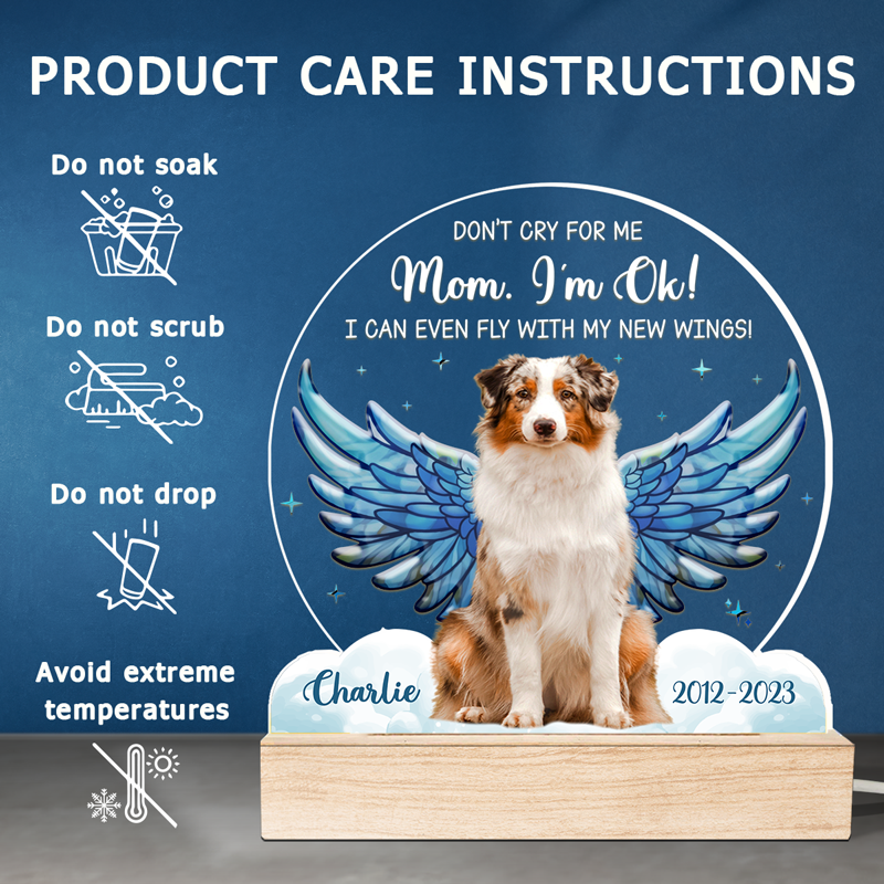 Photo personnalisée « Je peux même voler avec mes nouvelles ailes » - Lampe LED 3D personnalisée en forme de mémorial - Cadeau de condoléances pour les propriétaires et les amoureux des animaux