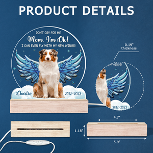 Photo personnalisée « Je peux même voler avec mes nouvelles ailes » - Lampe LED 3D personnalisée en forme de mémorial - Cadeau de condoléances pour les propriétaires et les amoureux des animaux