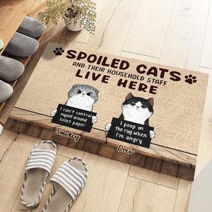 Spoiled Cats Live Here - Gift For Cat Lovers - Personalized Decorative Mat.