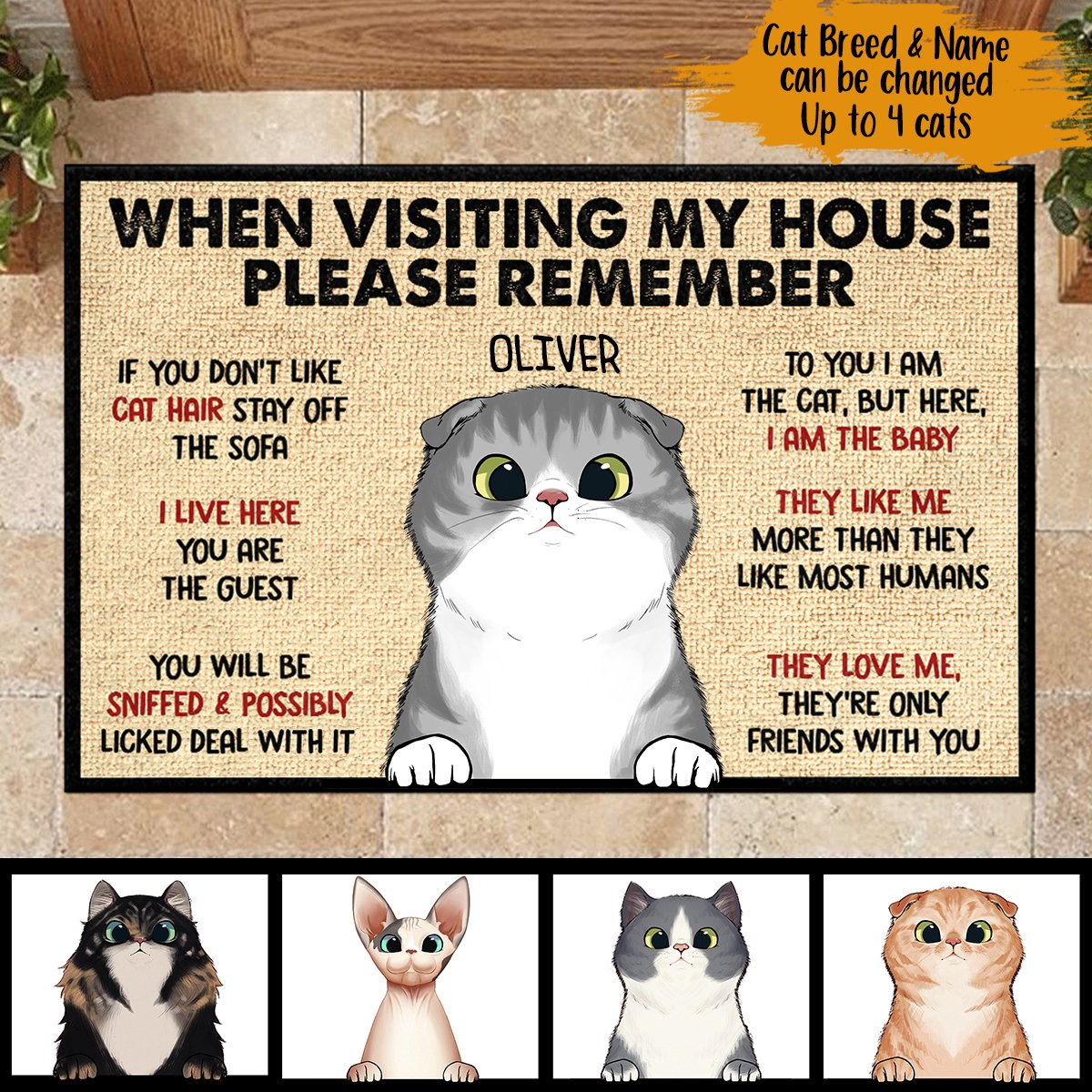 When Visiting My House Please Remember - Funny Personalized Cat Decorative Mat.