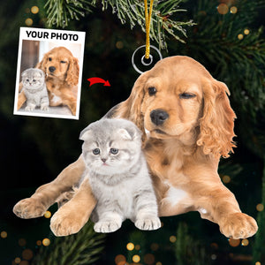 Custom Photo Christmas Gift From Santa - Dog & Cat Personalized Custom Ornament - Acrylic Custom Shaped - Christmas Gift For Pet Owners, Pet Lovers